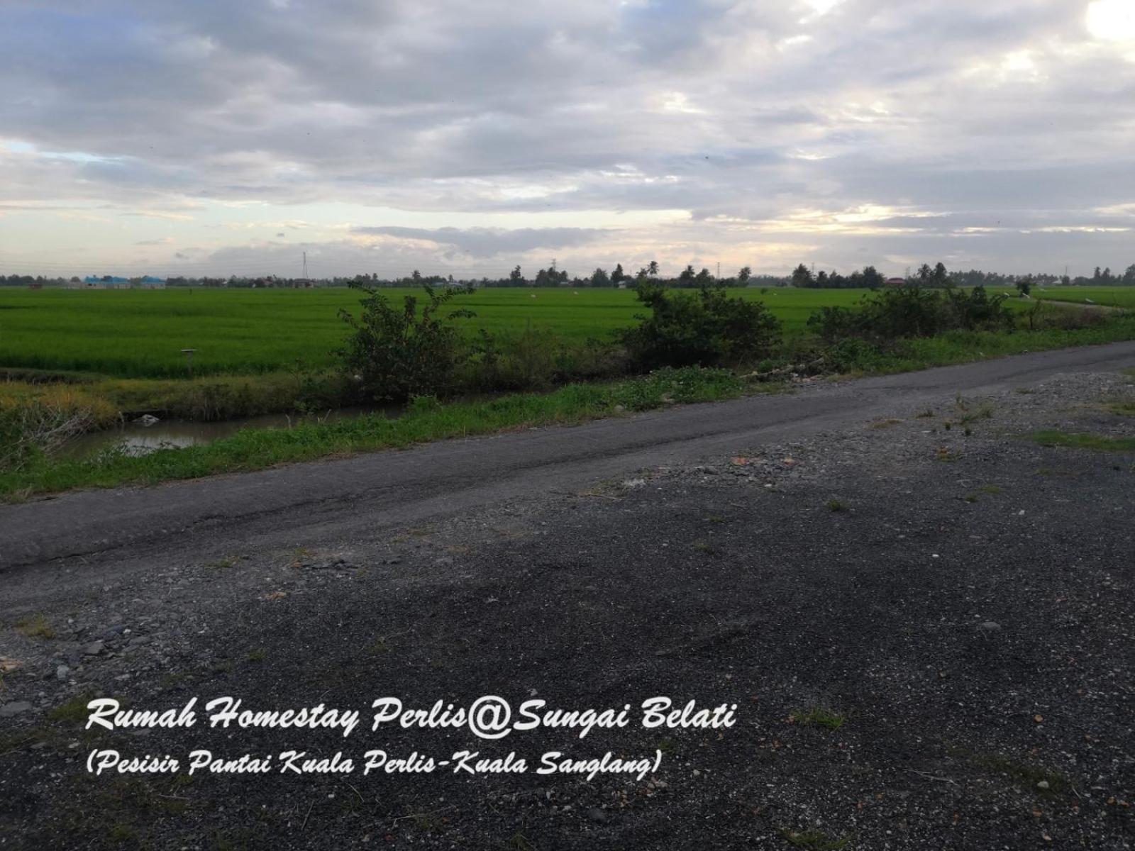 Simpang Empat  Rhumah Sungai Belatiヴィラ エクステリア 写真